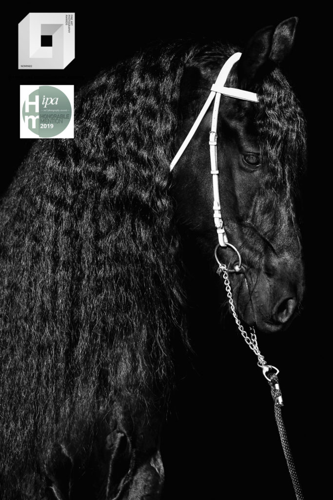 fotografia konkursowa