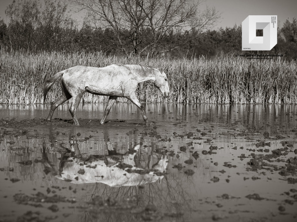 fotografia konkursowa