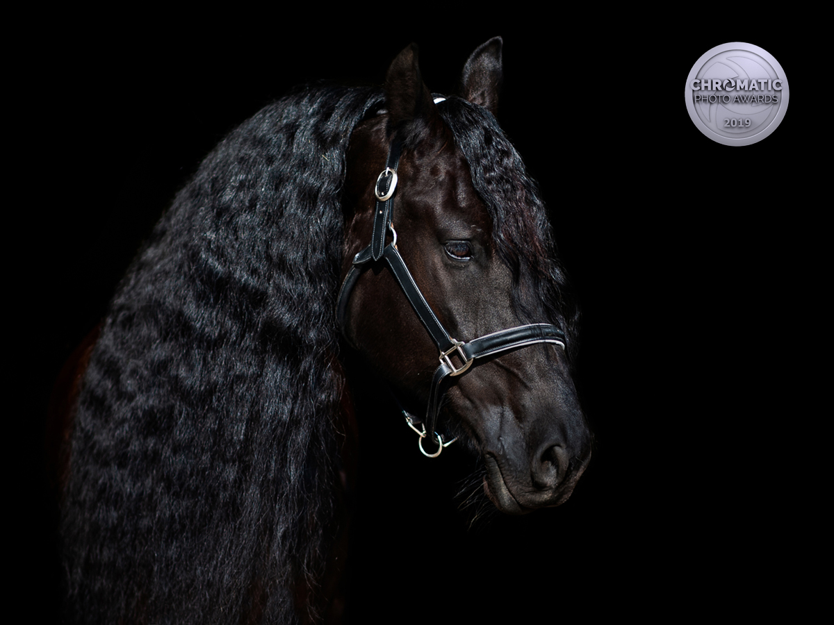 fotografia konkursowa